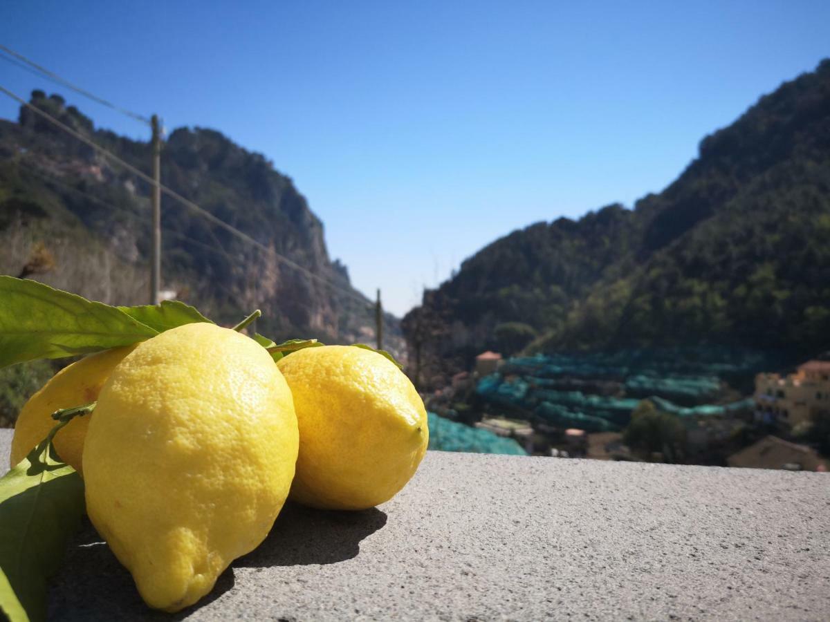 Fior D'Arancio Villa Amalfi Exteriör bild